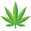 cannibis icon