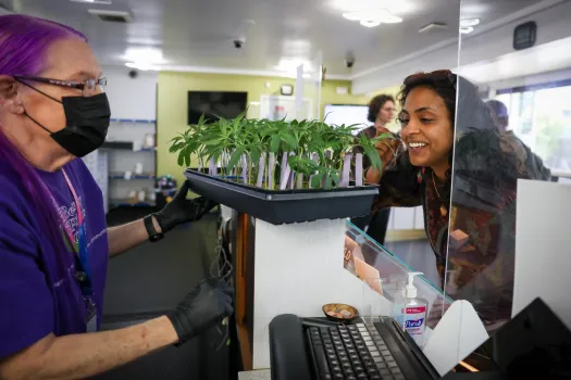 Cannabis Dispensaries: Your Gateway to Cannabis Wellness