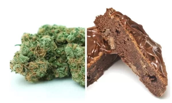 Exploring the World of Cannabis Edibles